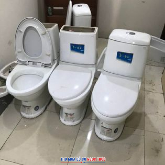 Thu Mua Bồn Cầu Cũ Ở Bình Chánh